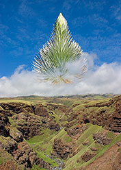 a Gift from Haleakala