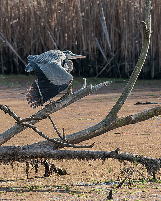 Before Take-Off