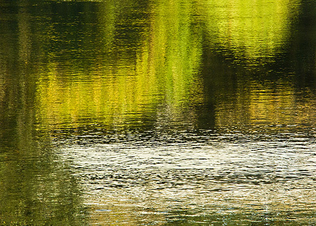 Reflections at McGee